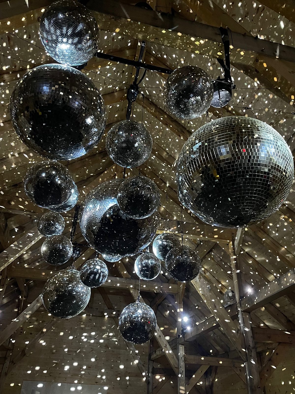 Disco balls portrait