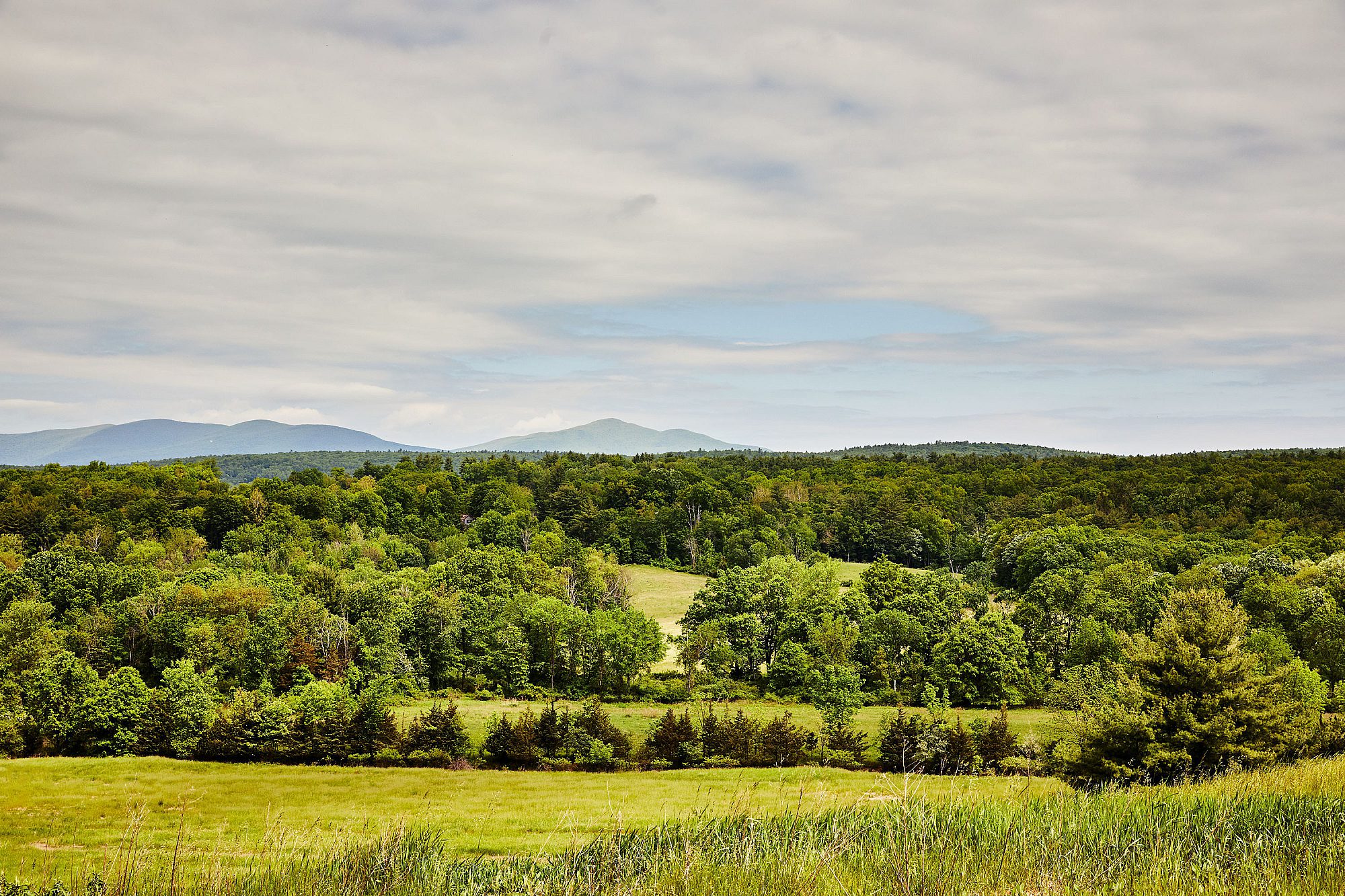 Tree-line at INNESS