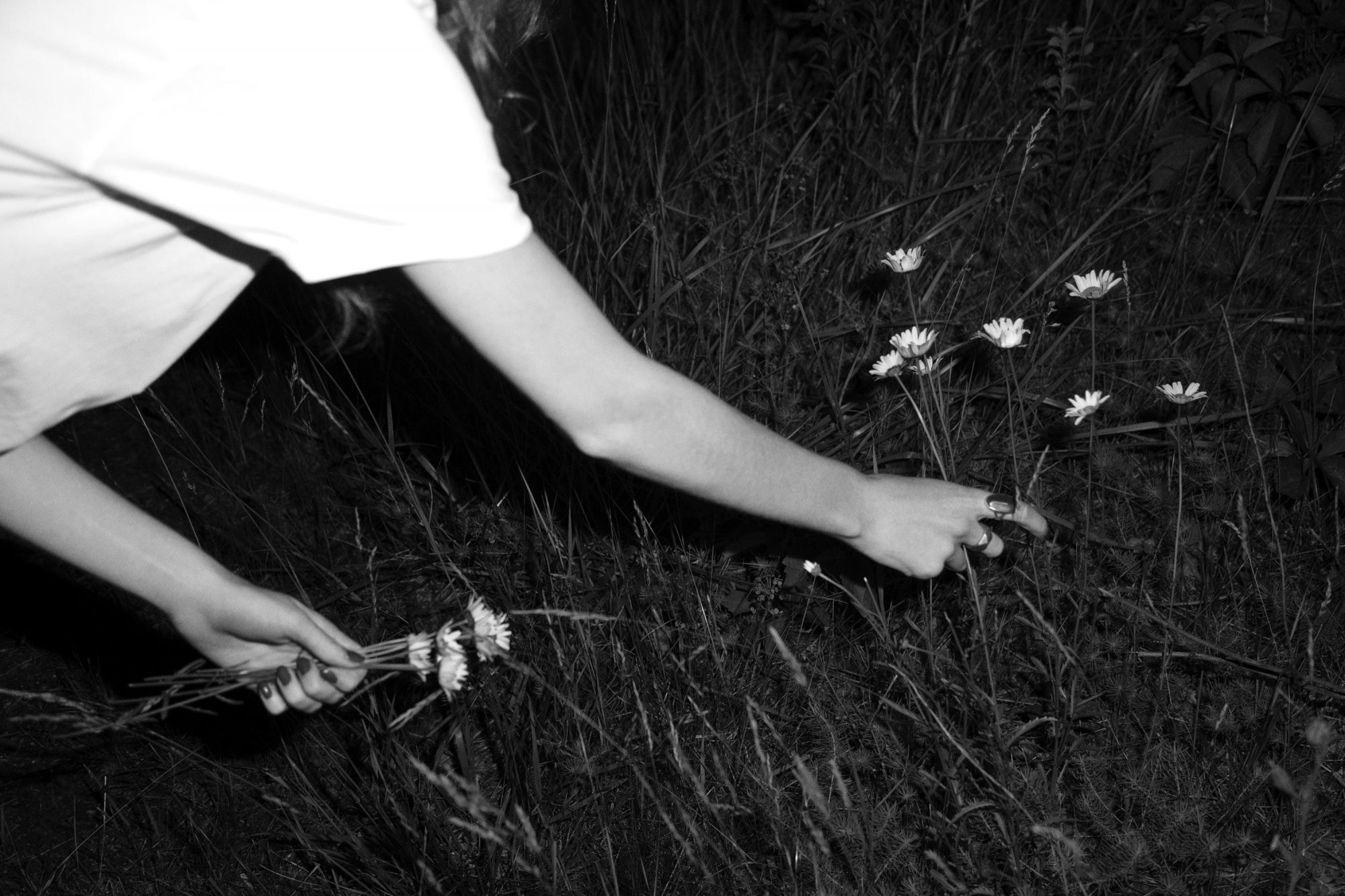 TIM BARBER NIGHT FLOWERS BIG