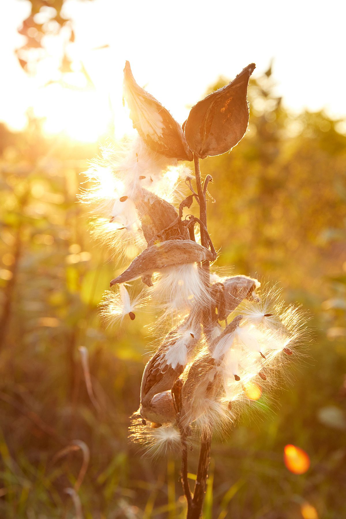 INNESS Golf Memberships New Paltz Golf Course Upstate NY